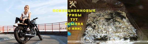 МДМА Новодвинск