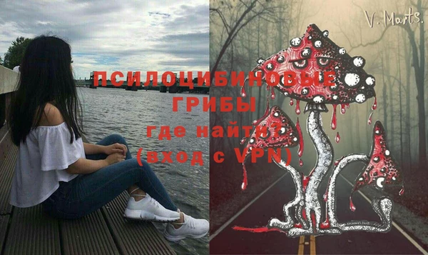 МДМА Новодвинск